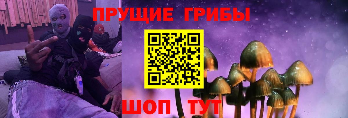 Мурино  Псилоцибиновые грибы GOLDEN TEACHER  Вход с VPN 